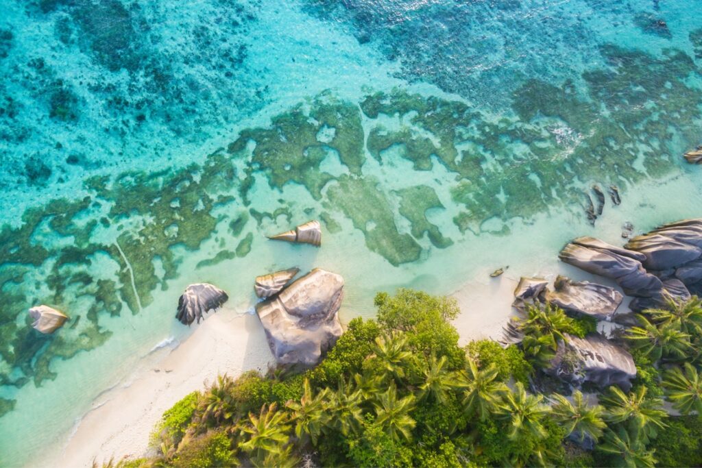 Why Choose Us for Seychelles Tour Packages from Bangalore